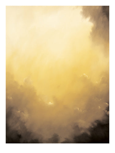 Golden Wonders by Dion Salvador Lloyd | 31 1/2 x 23 1/2 Fine Art Print