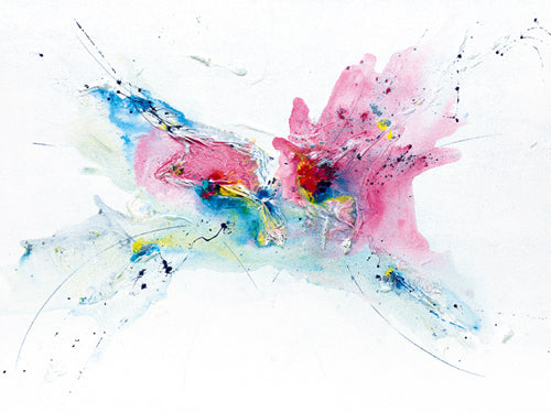 Flying Colours III by Hansjorg Furrer | 23 1/2 x 31 1/2 Fine Art Print