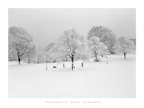 Prospect Park Trees by Henri Silberman | 23 1/2 x 31 1/2 Fine Art Print