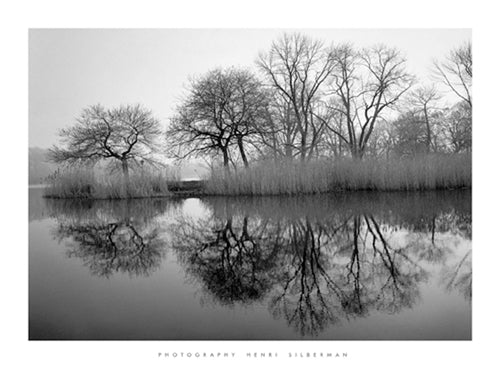 Prospect Park Morning by Henri Silberman | 23 1/2 x 31 1/2 Fine Art Print