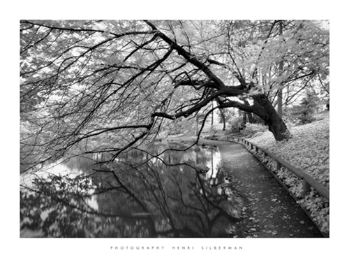 Framed Art Japanese Garden by Henri Silberman | 23 1/2 x 31 1/2
