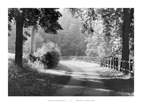 Path Into the Woods, Burgundy, France by Monte Nagler