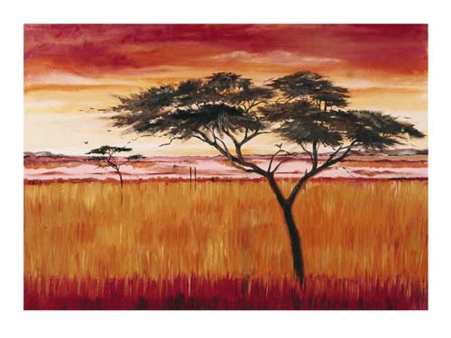 Framed Art Serengeti Dawn by Emilie Gerard | 23 1/2 x 31 1/2