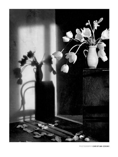 The Last Minute by Christian Coigny | 31 1/2 x 23 1/2 Fine Art Print