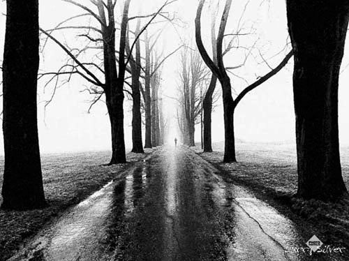 Jogger by Larry Silver | 23 1/2 x 31 1/2 Fine Art Print