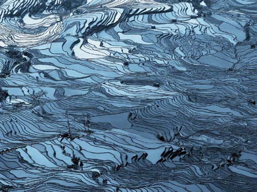 Bluewater by Chen Frank | 23 1/2 x 31 1/2 Fine Art Print