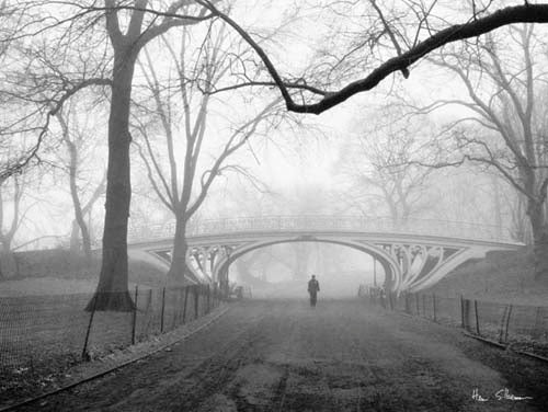 Framed Art Gothic Bridge, Central Park, NYC by Henri Silberman