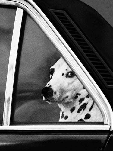 Noblesse Oblige by Eduoard Golbin | 31 1/2 x 23 1/2 Fine Art Print
