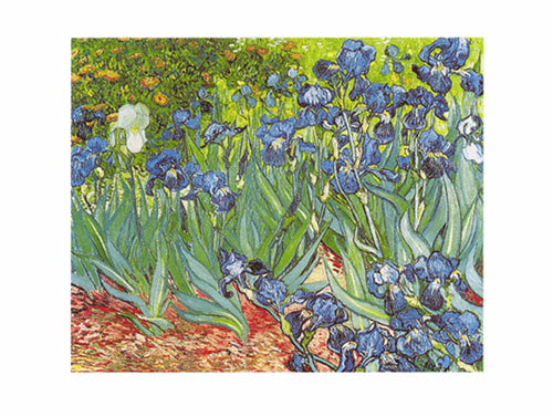 Framed Art Les Iris by Vincent van Gogh | 23 ½ x 31 ½