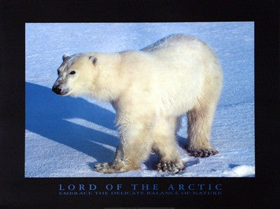 Lord of the Arctic by Lankinen | 23 1/2 x 31 1/2 Fine Art Print