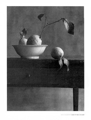 Cote Sud by Christian Coigny | 31 1/2 x 23 1/2 Fine Art Print