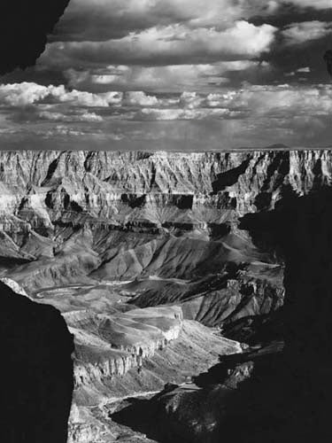 Grand Canyon National Park by Monochrome Gallery | 31 1/2 x 23 1/2 