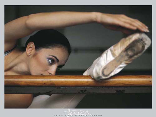 Intensity by Harvey Edwards | 23 1/2 x 31 1/2 Fine Art Print