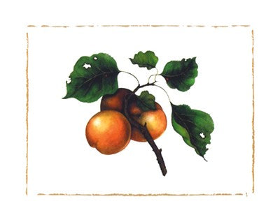 Goldmine Nectarine by Morgan Kari | 9 1/2 x 11 3/4 Fine Art Print