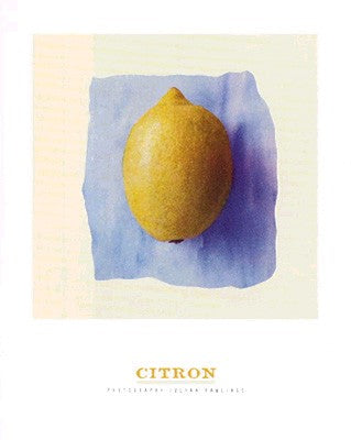 Citrone by Julyan Rawlings | 11 3/4 x 9 1/2 Fine Art Print
