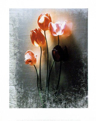 Five Tulips by Shoji Yoshida | 11 3/4 x 9 1/2 Fine Art Print