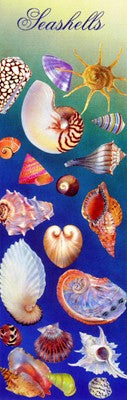 Seashells by Kim Sanda | 36 x 11 ¾ Fine Art Print