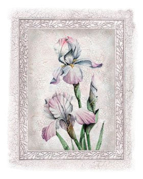 Flowers of Spring IV by Tom Wood | 11 3/4 x 9 1/2 Fine Art Print