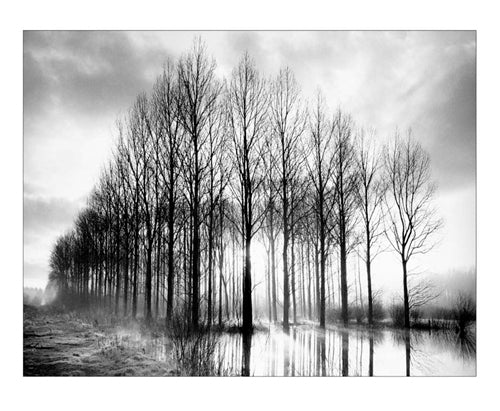 Framed Art Trees in Normandy by Bill Philip | 9 1/2 x 11 3/4