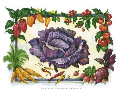 Cabbage by Monika Broeske | 9 1/2 x 11 3/4 Fine Art Print