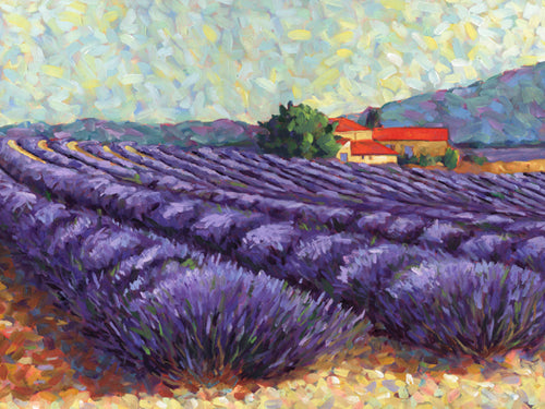 Lavender Fields II by Lorraine Westwood | 9 1/2 x 11 3/4 Fine Art Print