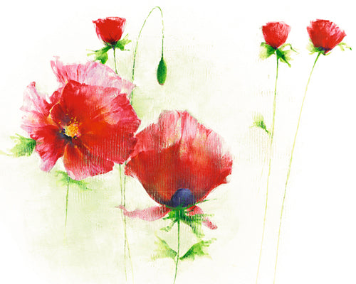 Red Poppies I by Andrea Fontana | 9 1/2 x 11 3/4 Fine Art Print