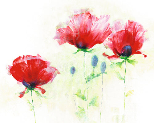 Red Poppies II by Andrea Fontana | 9 1/2 x 11 3/4 Fine Art Print