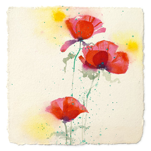 Papaveri II by Andrea Fontana | 27 1/2 x 27 1/2 Fine Art Print