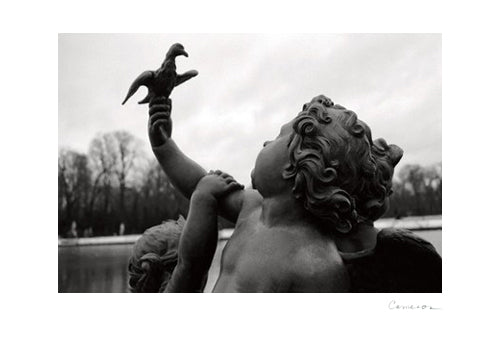 Cherub II by Donna Cameron | 9 ¼ x 13 Fine Art Print