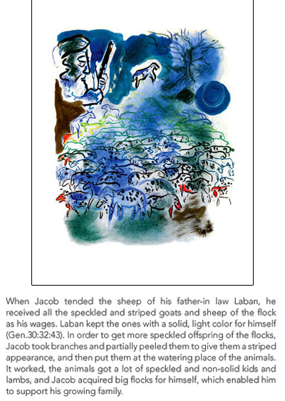 Jacob Tends the Flocks by Shoshanna Brombacher | 19 x 13 Fine Art Print