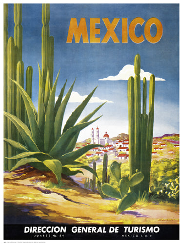 Cacti, Mexico Wall Art | 24 3/8 x 18 Fine Art Print