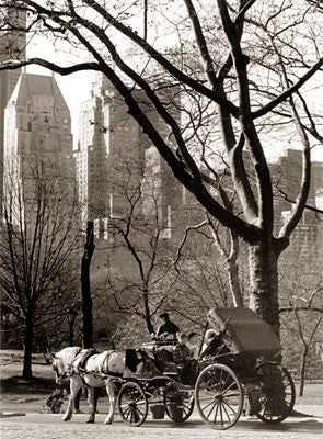 Central Park / Carriage by Igor Maloratsky | 19 x 13 Fine Art Print