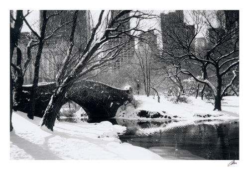 Central Park / Bridge by Igor Maloratsky | 13 x 19 Fine Art Print