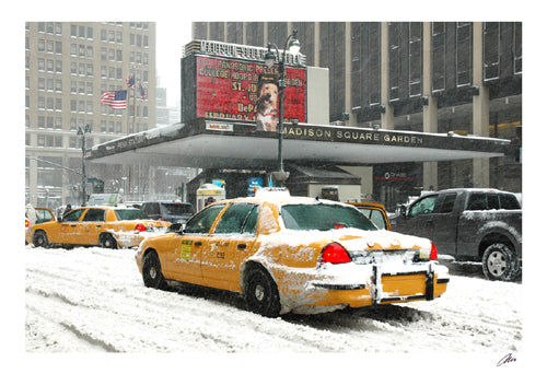 Madison Square Garden by Igor Maloratsky | 13 x 19 Fine Art Print