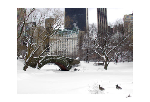 Love Bridge in Central Park, Winter by Igor Maloratsky
