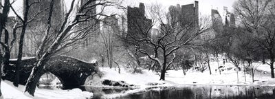 Love Bridge in Central Park, Winter Panorama by Igor Maloratsky