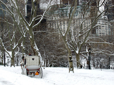 Carriage Snow, Central Park by Igor Maloratsky | 13 x 19 Fine Art Print