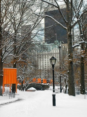The Gates & Love Bridge, Central Park by Igor Maloratsky