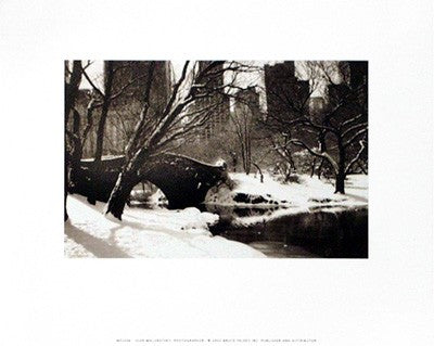 Central Park, Bridge by Igor Maloratsky | 8 x 10 Fine Art Print