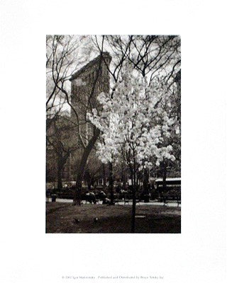 Flatiron Building, Spring by Igor Maloratsky | 10 x 8 Fine Art Print