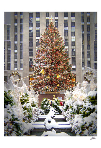 Christmas Tree at Rockefeller Center by Igor Maloratsky