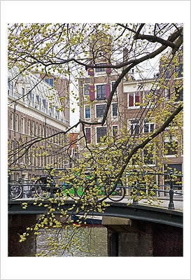 Framed Art Spring in Amsterdam by Igor Maloratsky | 19 x 13