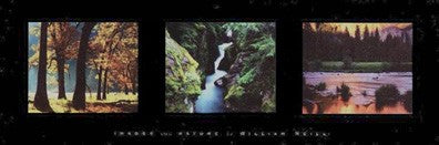 Images From Nature II by William Neill | 12 x 36 Fine Art Print