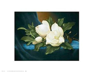 Magnolias by Paul Cordsen | 12 1/2 x 16 1/4 Fine Art Print