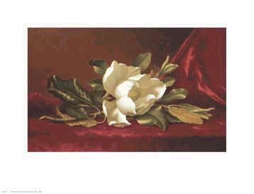 The Magnolia Flower by Martin Johnson Heade | 13 3/4 x 18 Fine Art Print