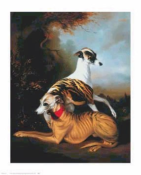 Whippetts, 1981 by Bernard de Claviere | 32 x 26 Fine Art Print