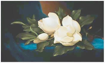 Magnolias by Paul Cordsen | 26 x 43 Fine Art Print