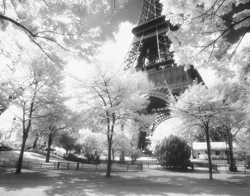 Afternoon in Paris, Parc du Champ de Mars Wall Art | 11 x 14 Fine Art Print
