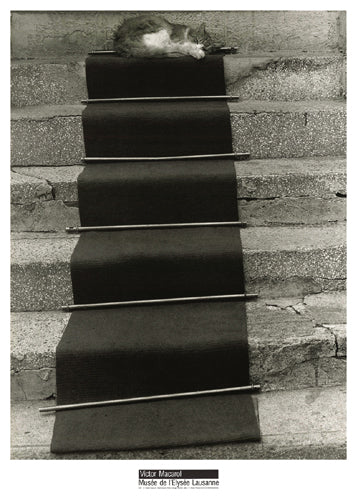 Framed Art Red Carpet Cat, Montmartre, Paris, 1988 by Victor Macarol