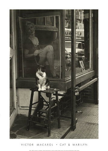 Framed Art Cat & Marilyn, Thompson St, NYC, 1988 by Victor Macarol